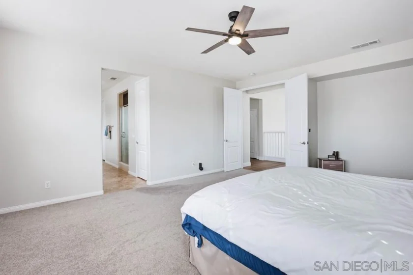30303 Laruns Street photo 35
