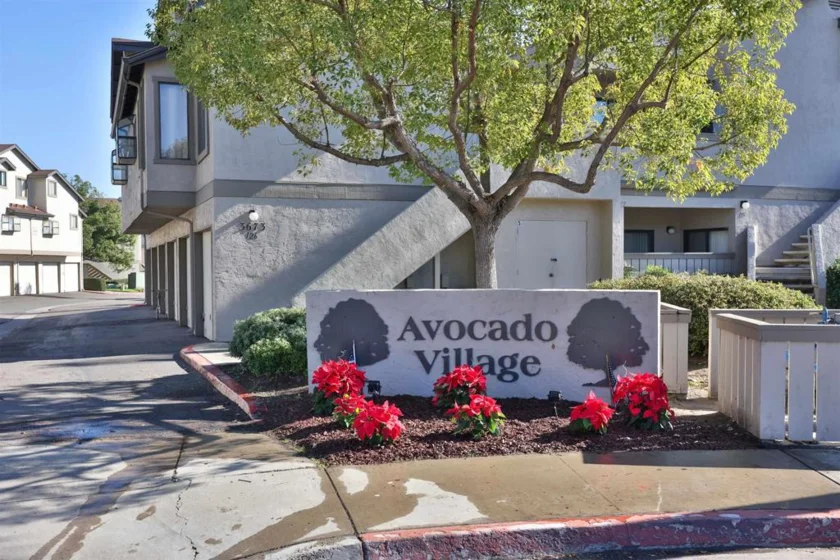 3689 Avocado Village Court #189 photo 1
