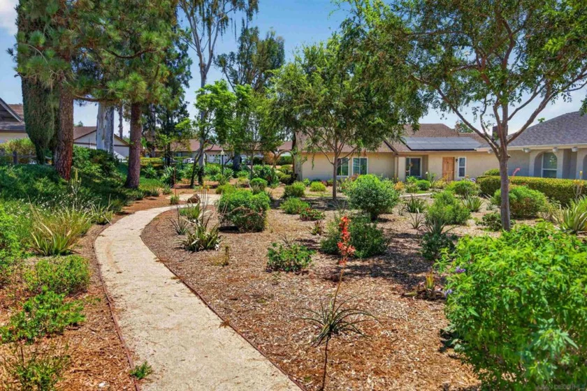 2207 Arborvitae photo 4