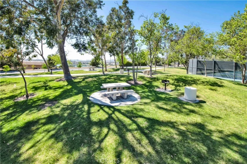 58 Mira Mesa photo 12