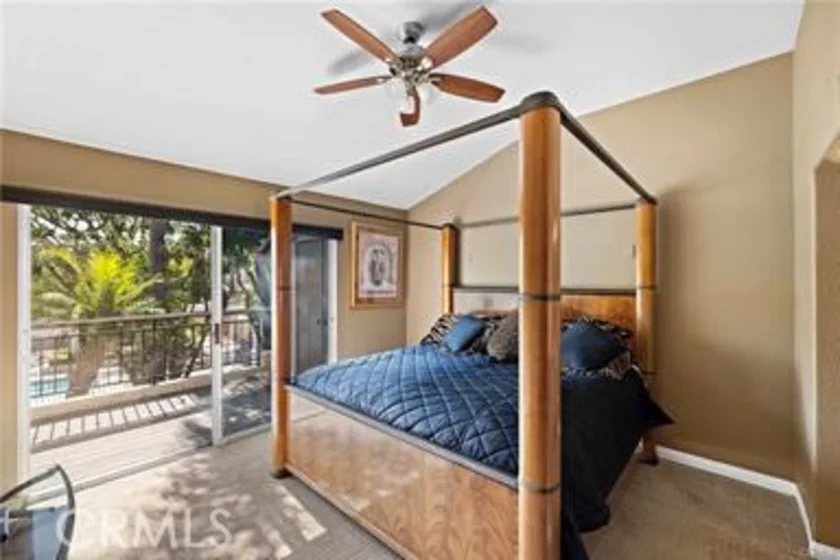 21914 Montagu photo 21