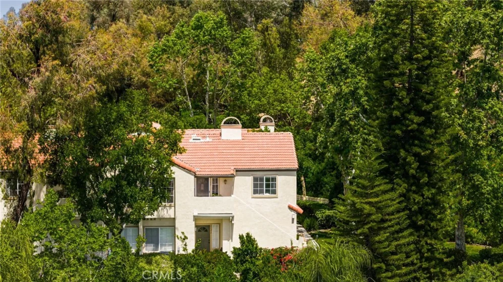 21256 Camelia photo 34