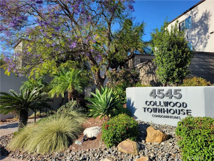 4545 Collwood Boulevard #19 photo 3