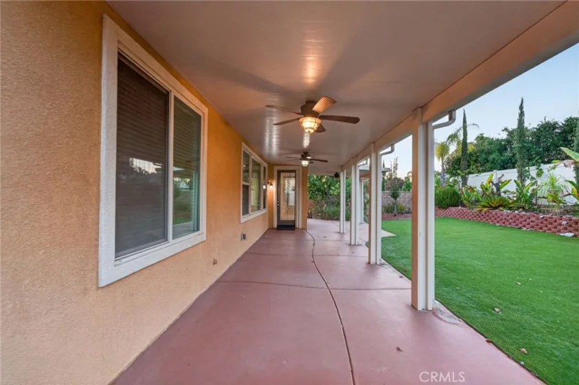 30780 Olympia Rose photo 61