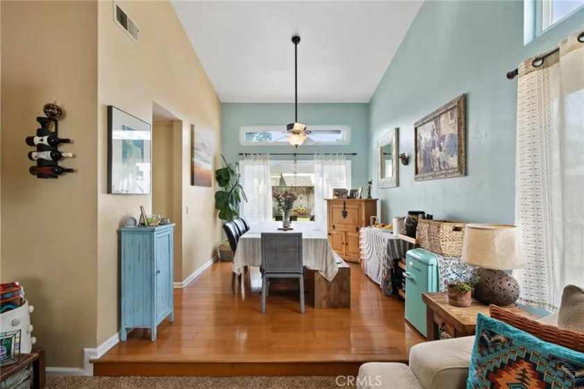25401 Lacebark photo 20