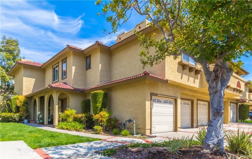 25261 Tanoak photo 2