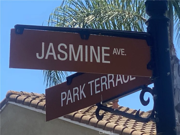 27444 Jasmine photo 66
