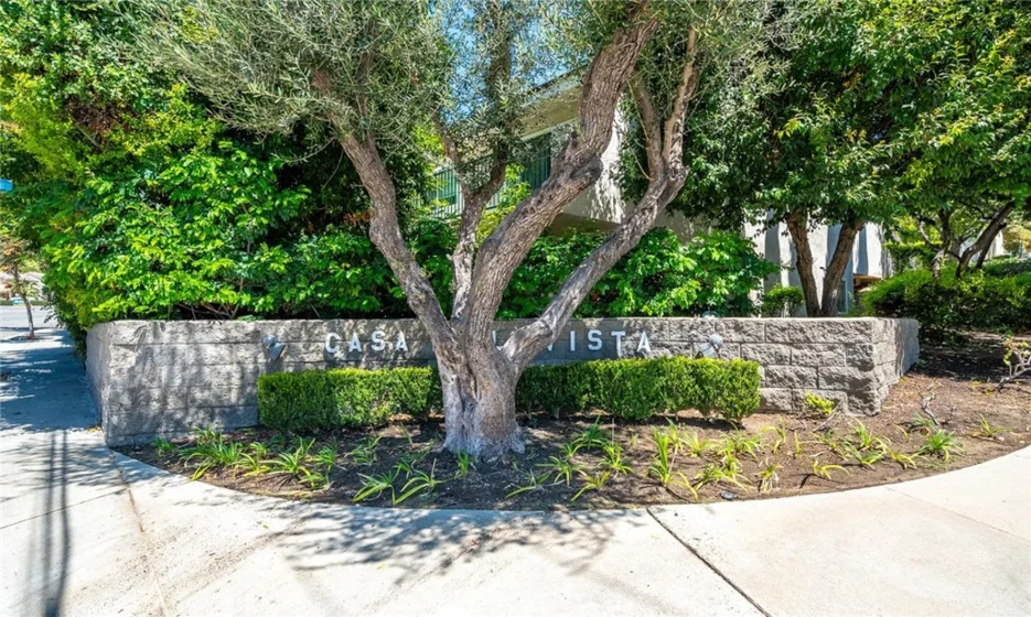 1821 Vista Del Oro photo 43