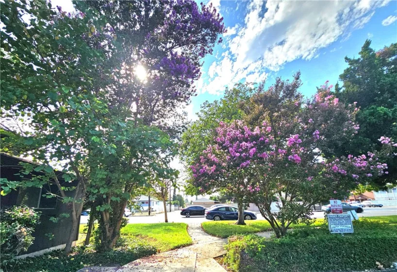 7552 Corbin Avenue #4 photo 5