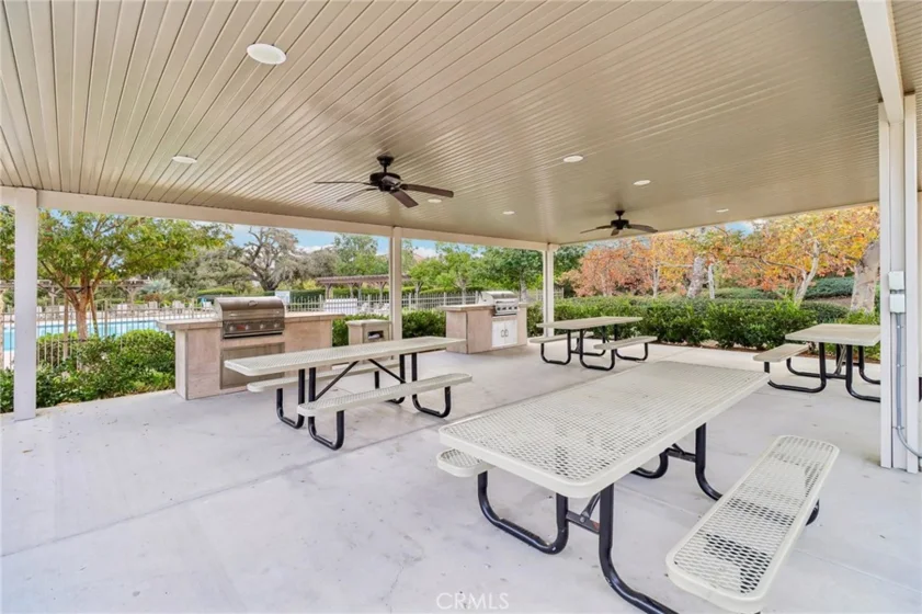 27741 Elderberry Street photo 45