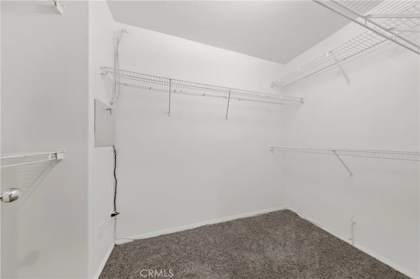 26919 Lemon Grass Way photo 32