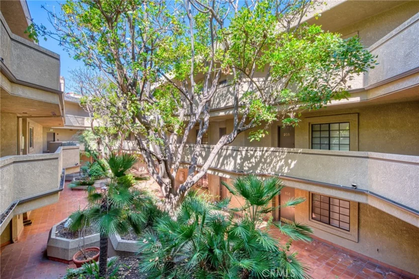 221 S Oak Knoll Avenue #202 photo 2