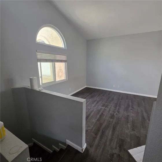21128 Gladiolos photo 18