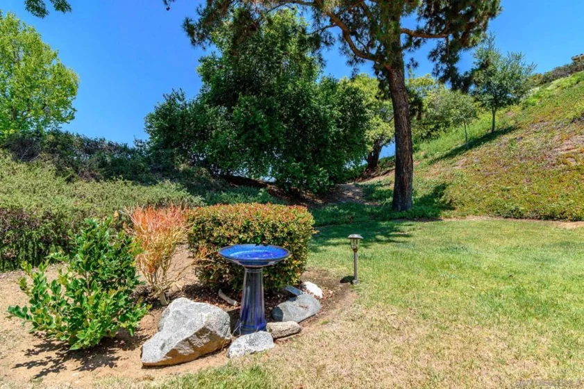 16657 Roca Drive photo 34