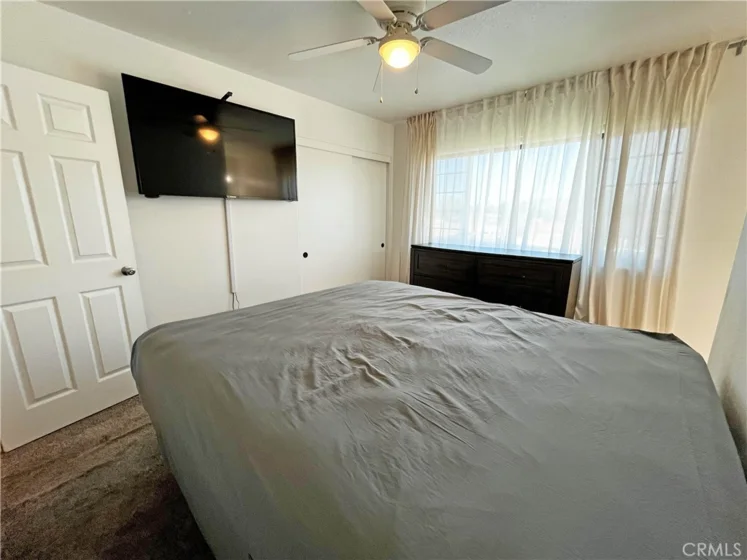 24109 Fir photo 34