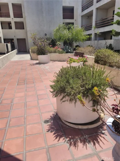 1118 Valencia Street #113 photo 4