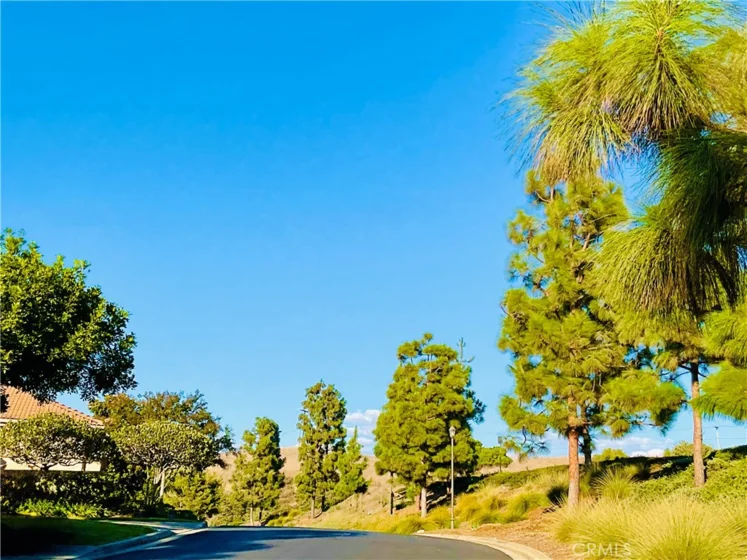 27585 Paseo Segovia photo 45