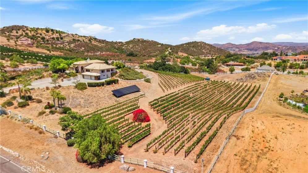 21384 Paseo Montana photo 7