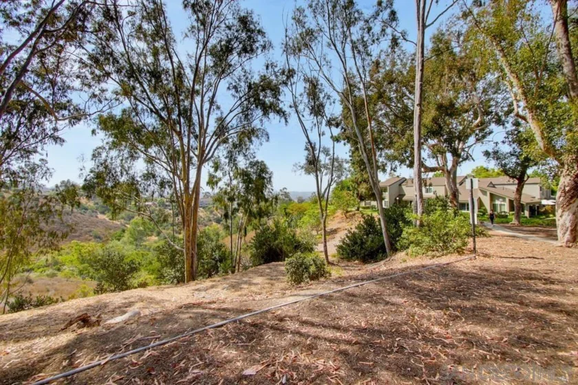 10854 Macouba Place photo 42
