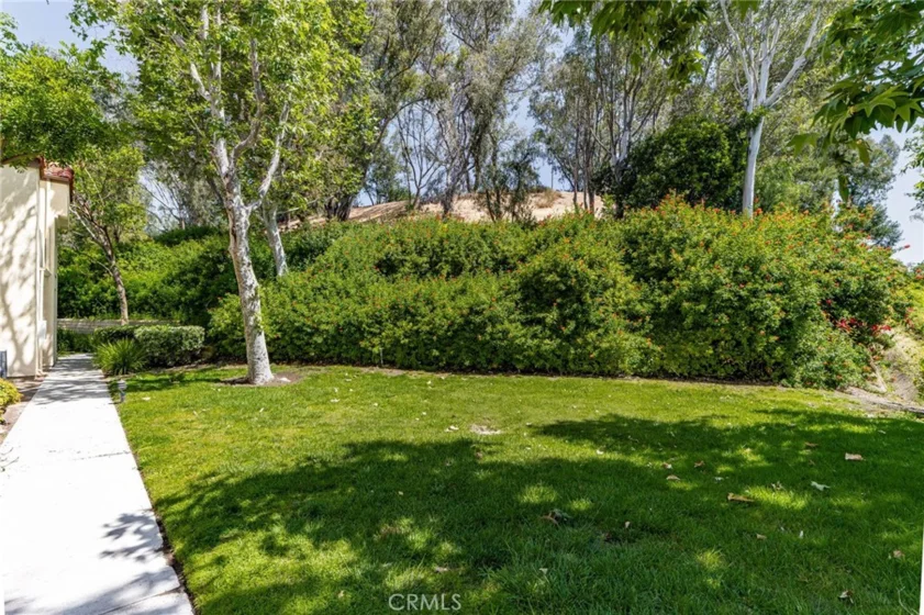 21256 Camelia photo 27
