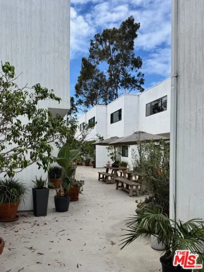 2500 Abbot Kinney Boulevard #6 photo 53