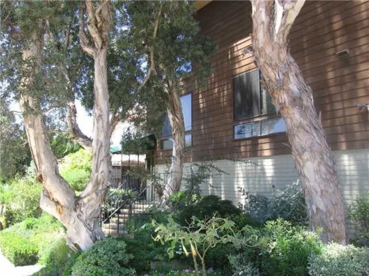 134 W Walnut #D photo 1
