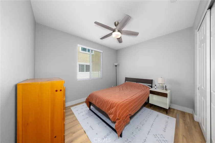 34204 Chenille photo 21