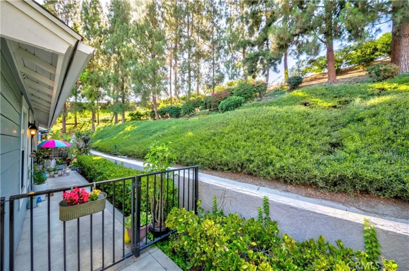 23412 Pacific Park Drive #6A photo 1