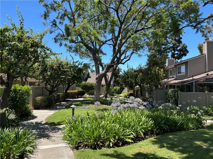 57 E Palm Drive photo 34