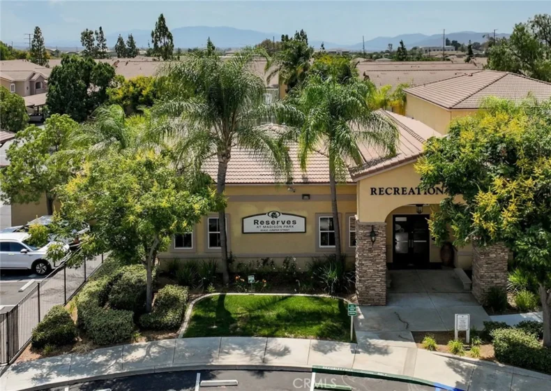 41410 Juniper photo 1