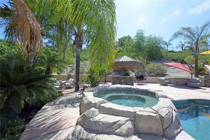 26784 Lemon Grass photo 28