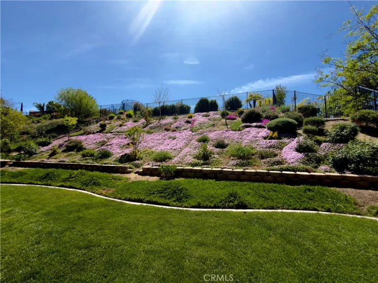 34581 Collier Falls Court photo 46