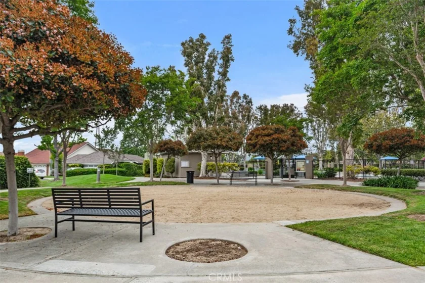 2 Snapdragon photo 32