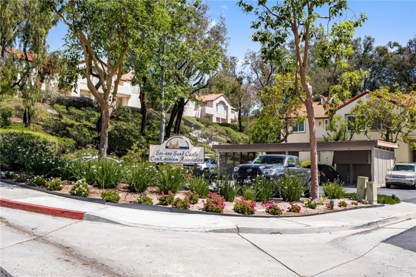 21256 Camelia photo 32