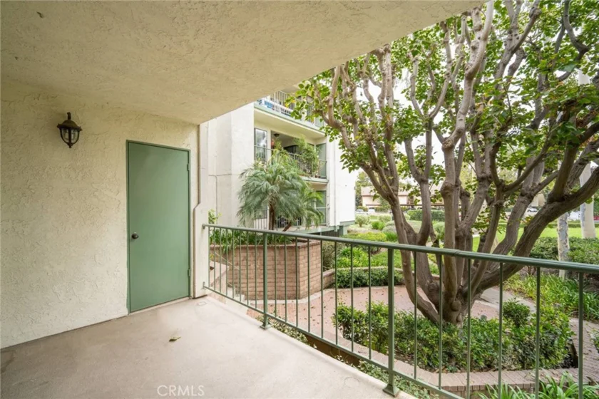4114 Apricot photo 9