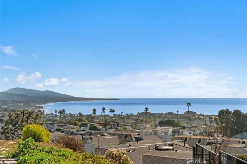 33611 Dana Vista Drive #31 photo 17