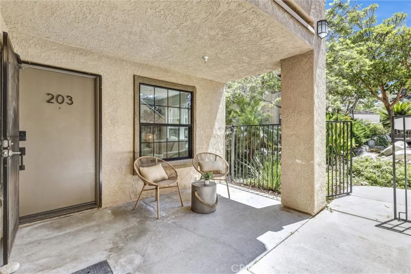 1042 Calle Del Cerro #203 photo 14