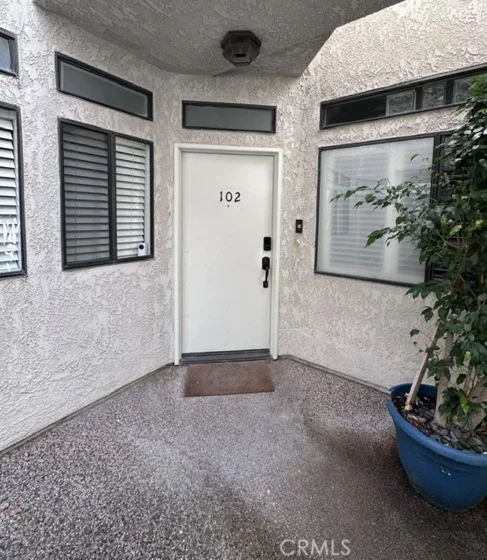 17191 Corbina photo 28