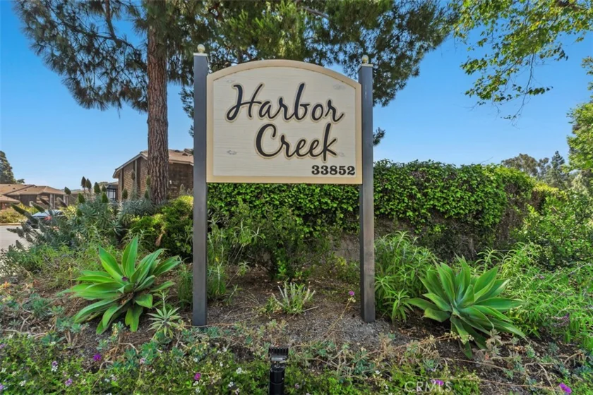 33852 Del Obispo Street #9 photo 34