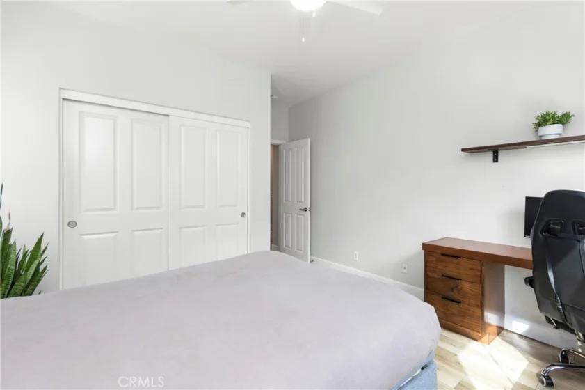 205 Mantle photo 29