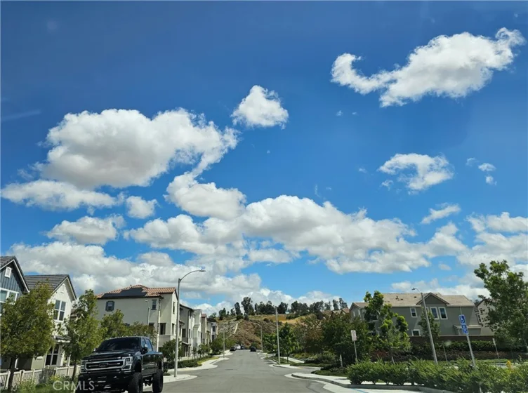 3948 Lavine Way #101 photo 26