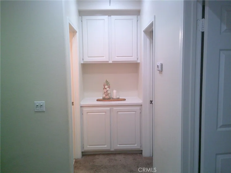 27959 Cactus #B photo 13