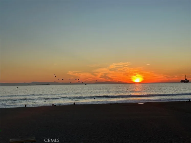 1200 Pacific Coast #426 photo 36