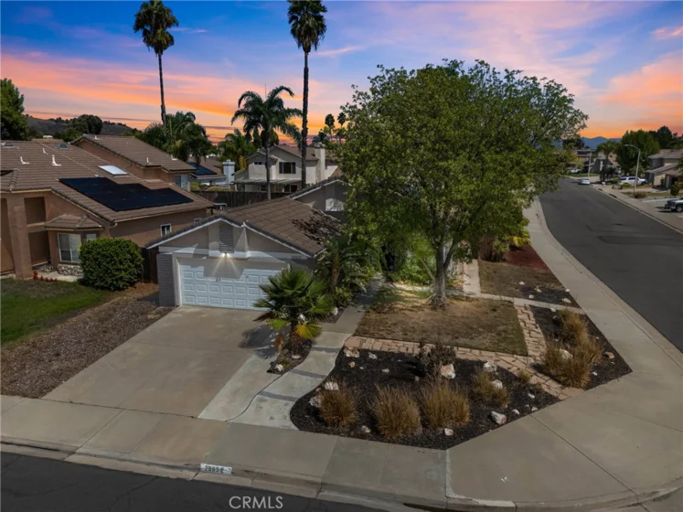 25552 Blackwood photo