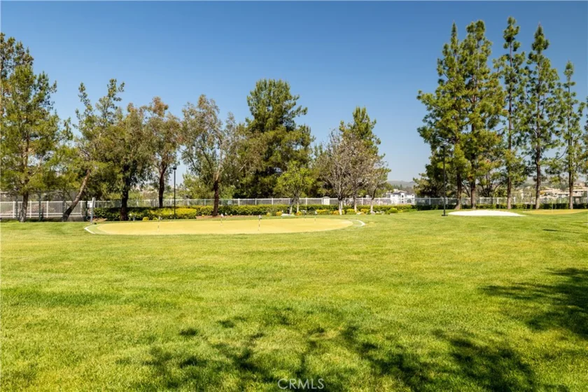 30321 Mayacamas Drive photo 47