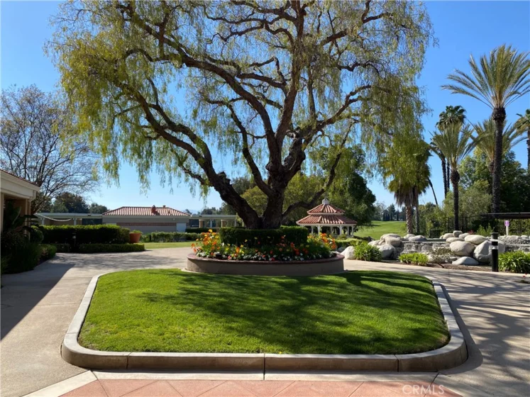 42145 Delmonte photo 48
