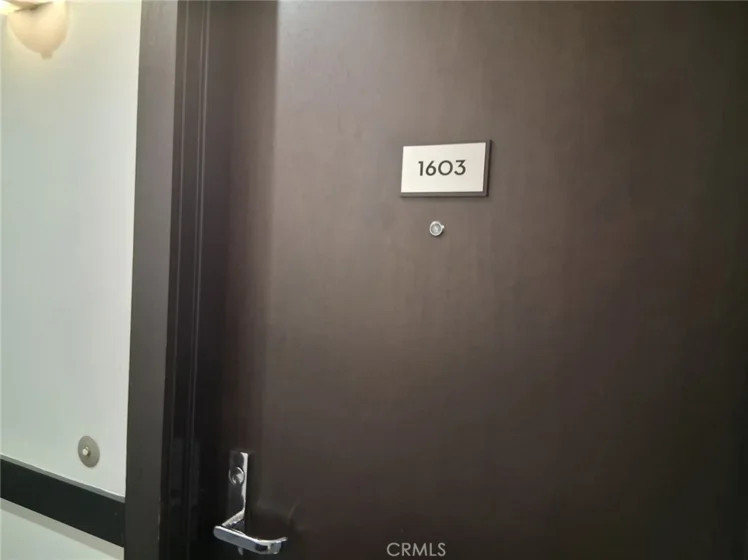 655 S Hope Street #1603 photo 10