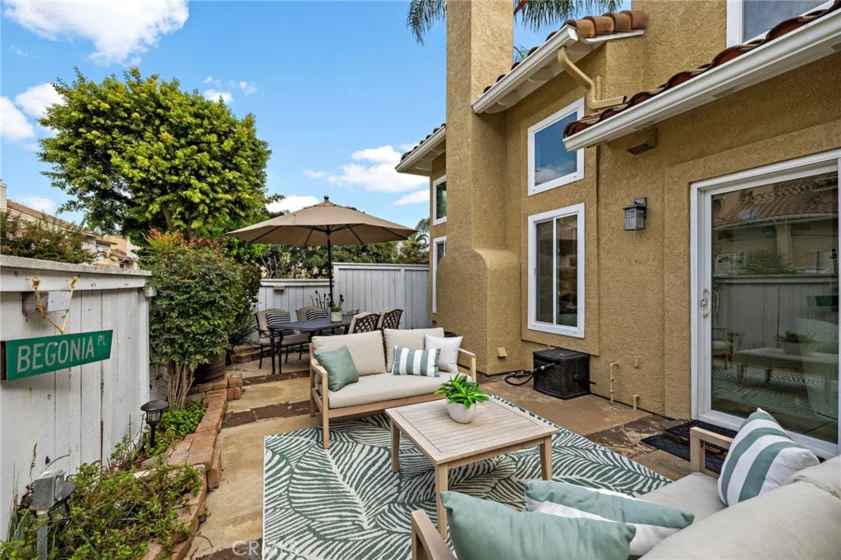 26907 Begonia photo 26