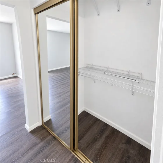 21128 Gladiolos photo 11