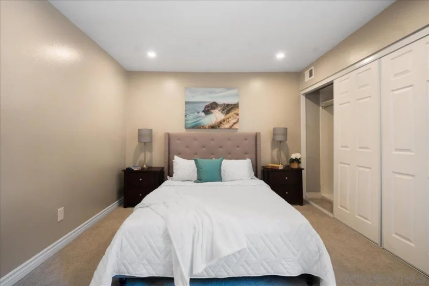 1621 S Hotel Circle #E217 photo 18